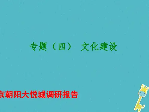 2019北京朝阳大悦城调研报告