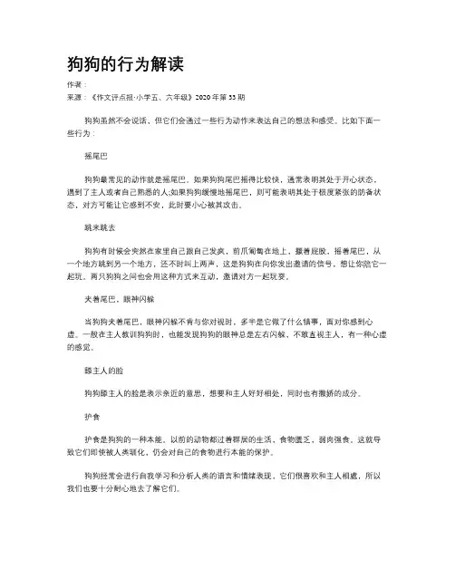 狗狗的行为解读