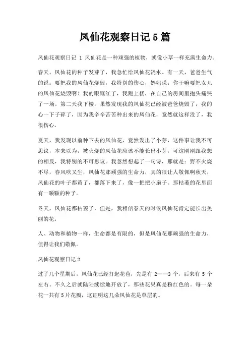凤仙花观察日记5篇