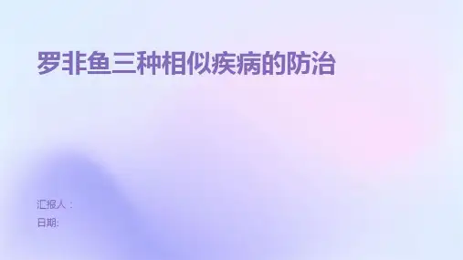 罗非鱼三种相似疾病的防治