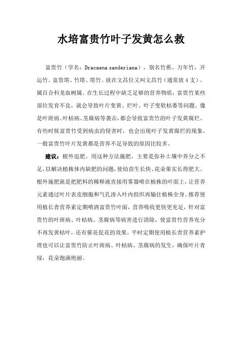 水培富贵竹叶子发黄怎么救
