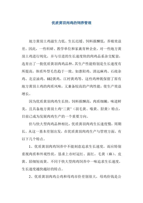 优质黄羽肉鸡的饲养管理