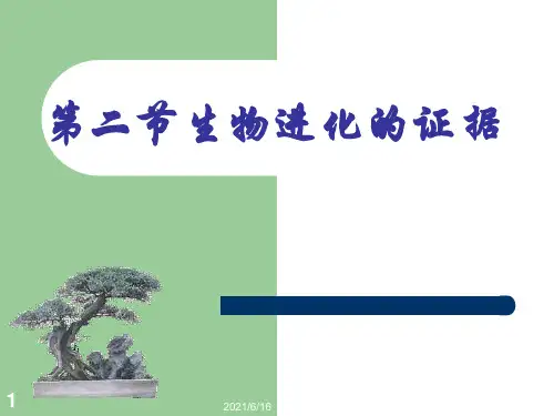 生物进化的证据
