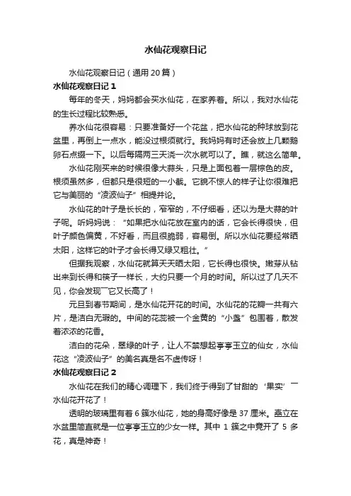 水仙花观察日记（通用20篇）