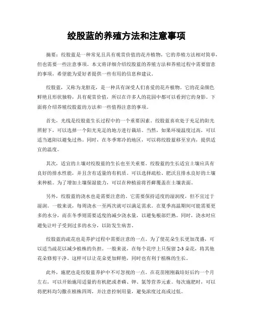 绞股蓝的养殖方法和注意事项