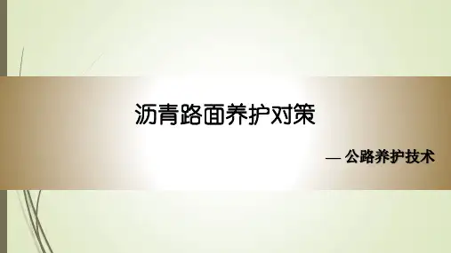 沥青路面养护对策PPT课件-公路养护技术