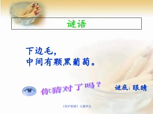 《保护眼睛》主题班会 ppt课件