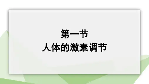 人体的激素调节课件(共25张PPT)济南版生物七年级下册