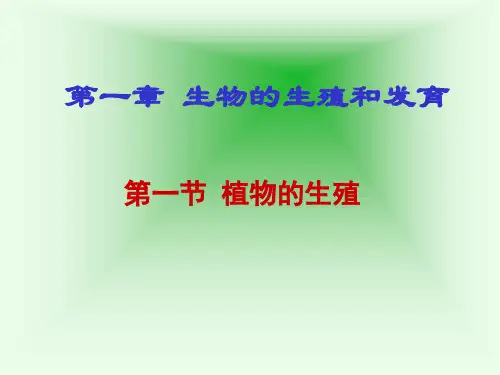 人教版八年级生物下册第一节植物的生殖(共39张PPT)