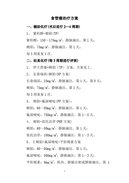 食管癌治疗方案