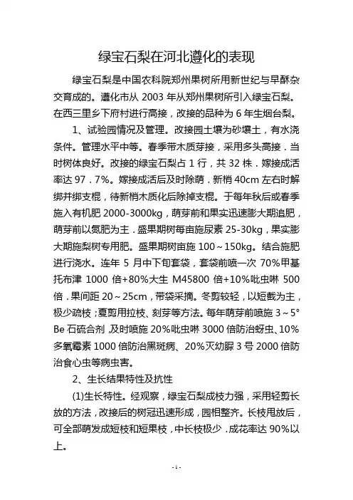 绿宝石梨在河北遵化的表现