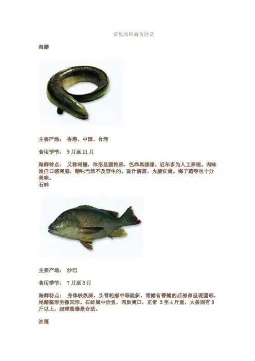 海鲜大全鱼虾蟹贝图文欣赏