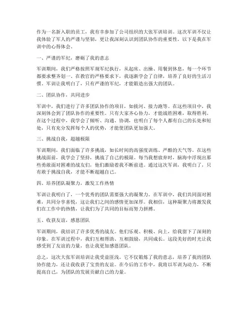大张军训培训心得体会