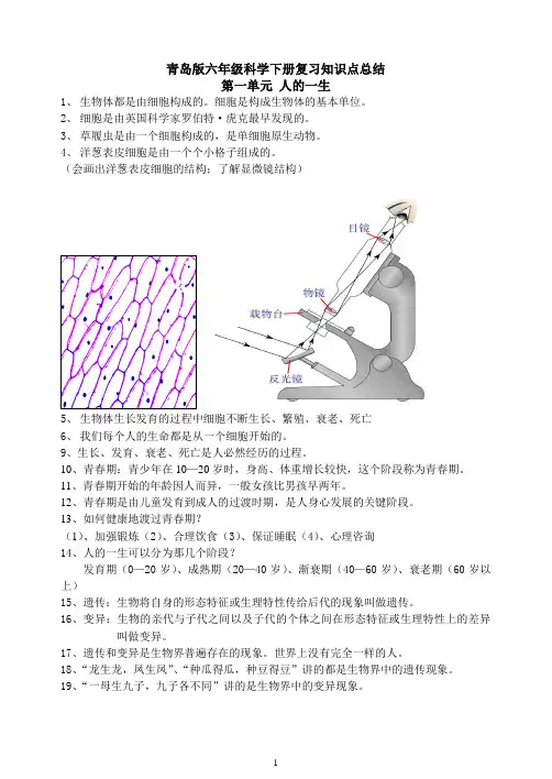(完整word)青岛版六年级科学下册知识点梳理,推荐文档