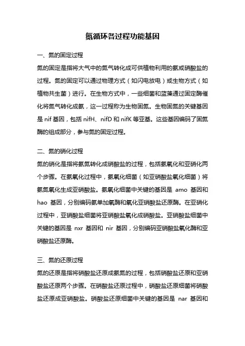 氮循环各过程功能基因