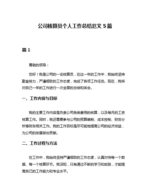 公司核算员个人工作总结范文5篇