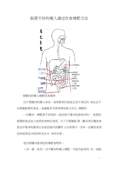 肠胃不好的瘦人如何通过饮食增肥