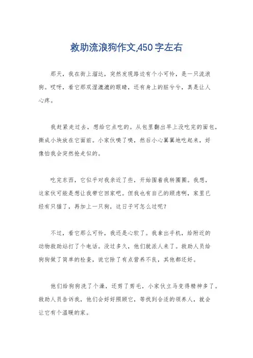 救助流浪狗作文,450字左右