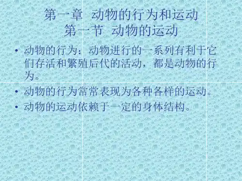 第一章动物的行为和运动第一节动物的运动