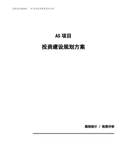 AS项目投资建设规划方案(模板)