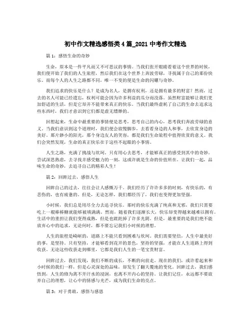 初中作文精选感悟类4篇_2021中考作文精选