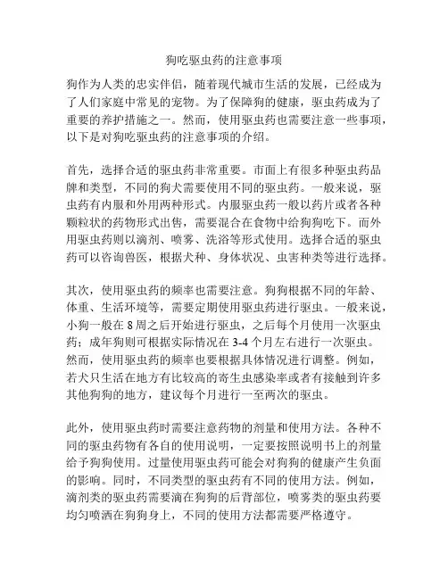 狗吃驱虫药的注意事项