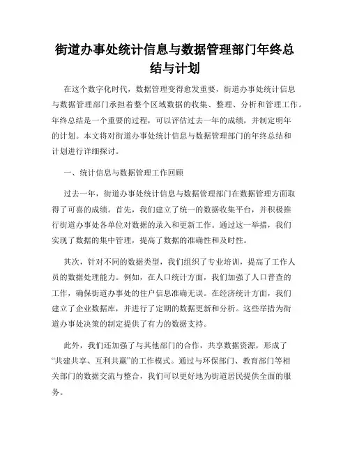 街道办事处统计信息与数据管理部门年终总结与计划
