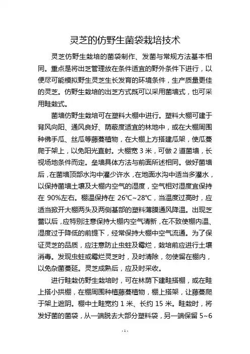 灵芝的仿野生菌袋栽培技术