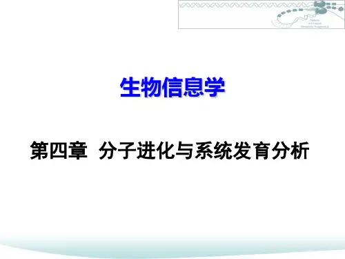 4-分子进化与系统发育分析