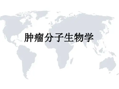 20101223_肿瘤分子生物学2010123
