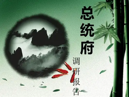 总统府调研报告