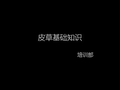 皮草基础知识