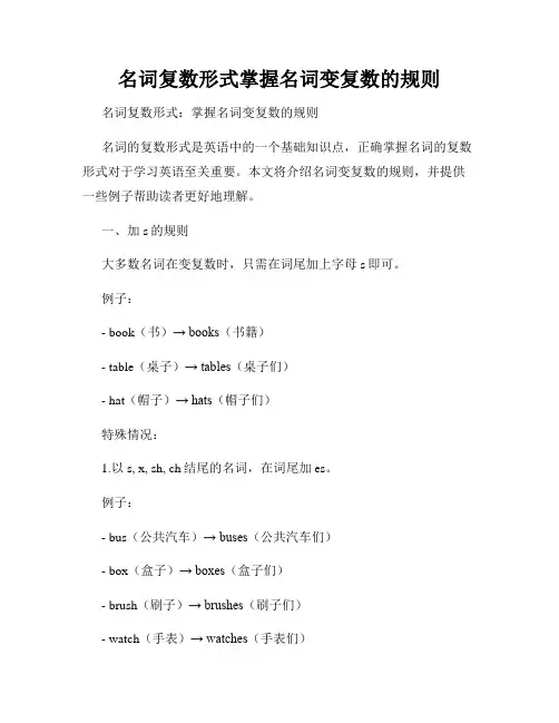 名词复数形式掌握名词变复数的规则