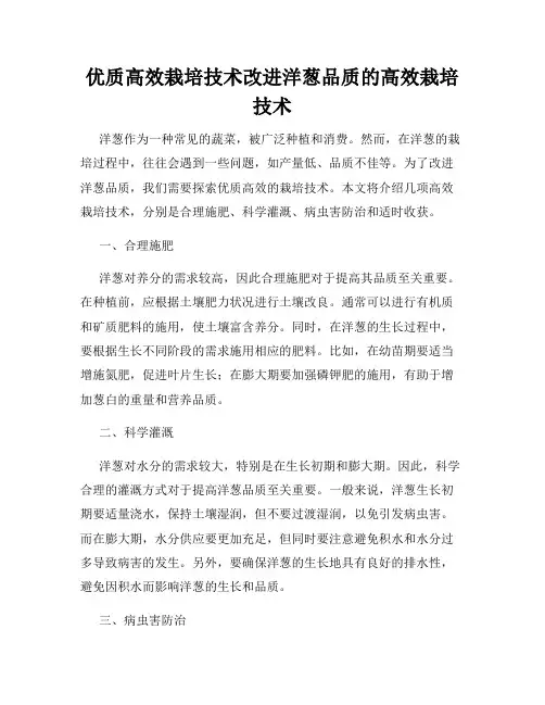 优质高效栽培技术改进洋葱品质的高效栽培技术