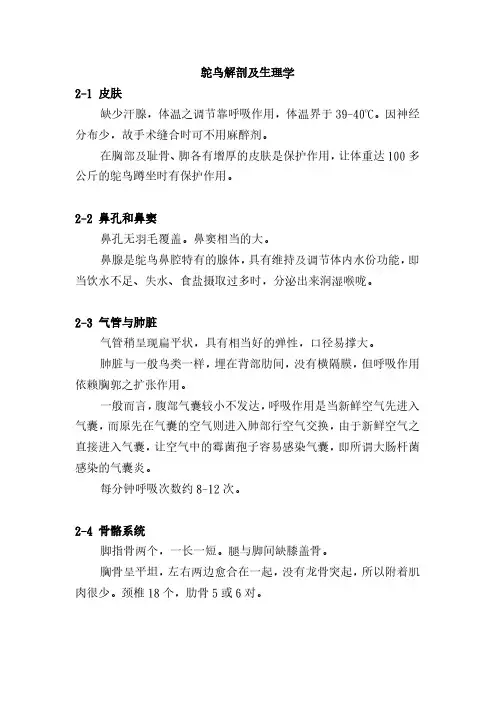 鸵鸟解剖及生理学