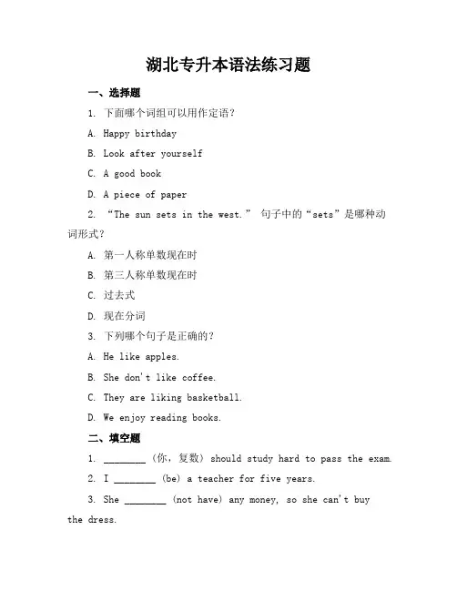 湖北专升本语法练习题