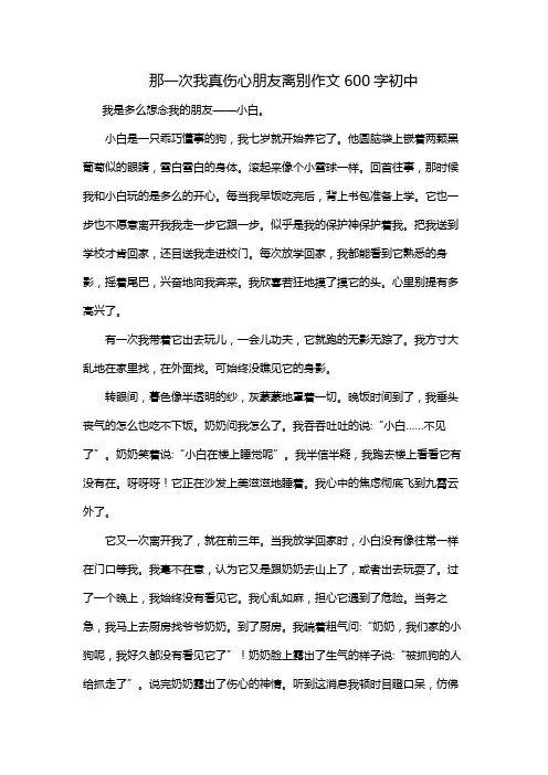 那一次我真伤心朋友离别作文600字初中