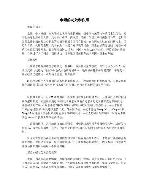 水蛭的功效和作用