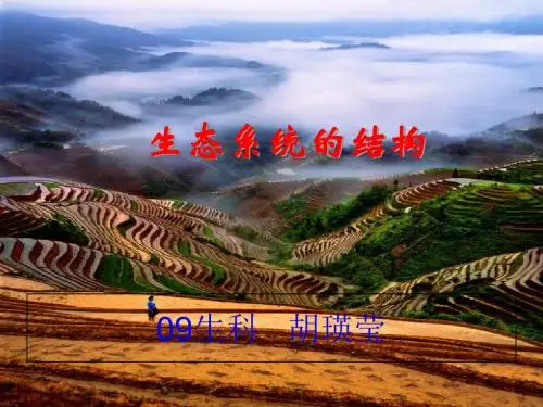生态系统的结构