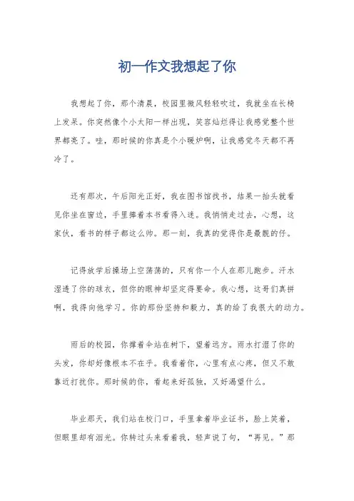 初一作文我想起了你