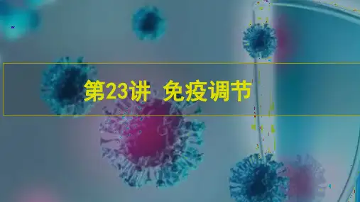 第23讲 免疫调节(课件)2024年高考生物一轮复习(新教材新高考)