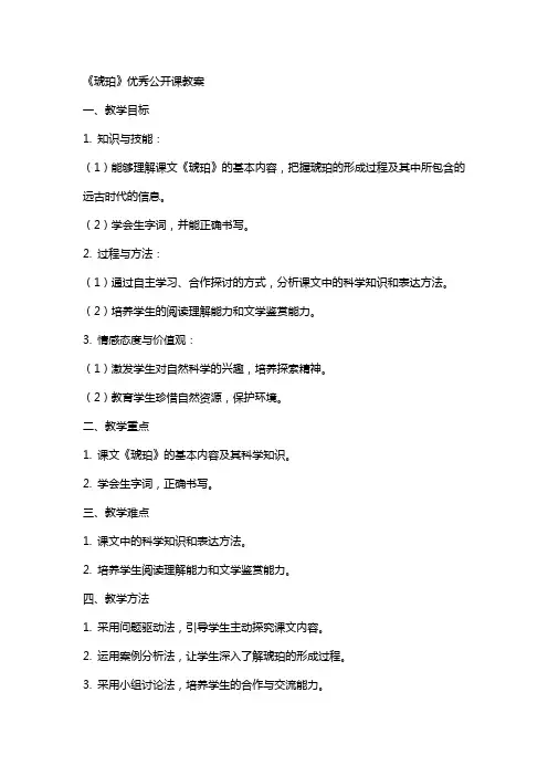 《琥珀》优秀公开课教案