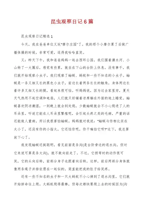 昆虫观察日记6篇