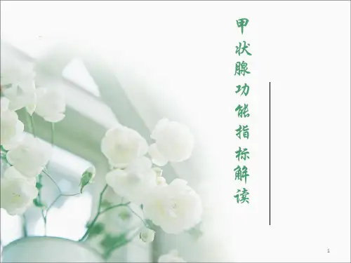 甲状腺功能指标解读ppt课件【25页】