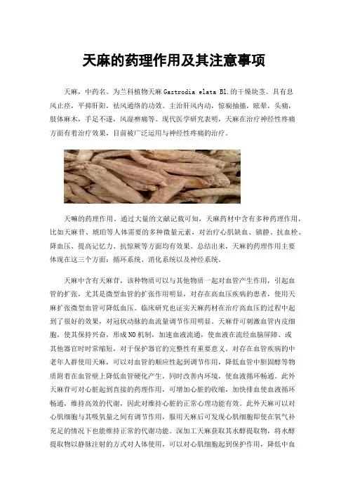 天麻的药理作用及其注意事项