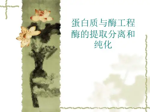 蛋白质与酶工程  酶的提取分离和纯化