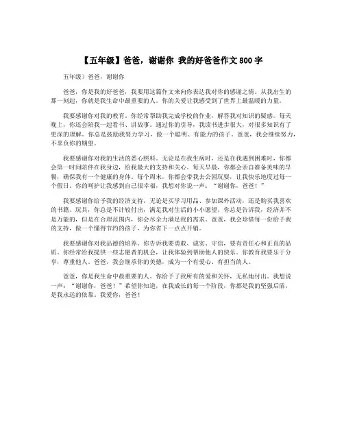 【五年级】爸爸,谢谢你 我的好爸爸作文800字