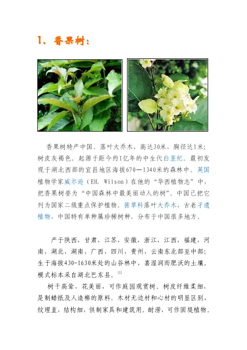 适合在黄山栽种的花草,树木