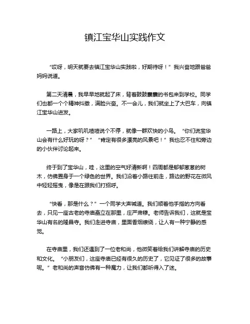 镇江宝华山实践作文