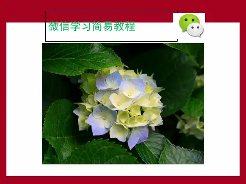 微信学习简单教程 ppt课件
